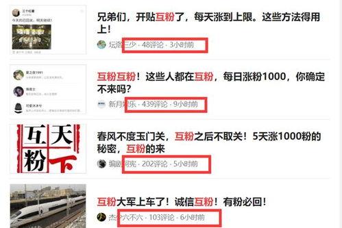 开通头条的粉丝有多少,粉丝突破百万！头条新晋网红如何崛起