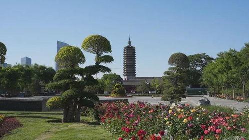 渭滨公园网红打卡景点,探寻古韵与现代交融的美丽风景