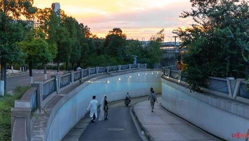 武胜网红隧道在哪里,打卡新晋网红打卡地，探寻城市之光隧道魅力
