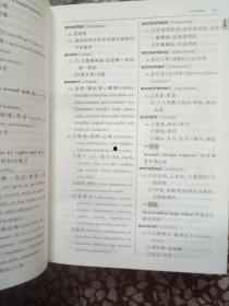 知识网红汉语词典解释,汉语词典中的副标题奥秘解析