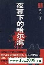 头条音频夜幕下的哈尔滨,探寻冰城夜色之美