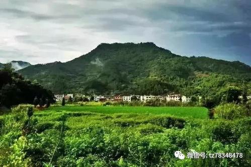 雅安切山村头条,探寻乡村振兴的美丽画卷