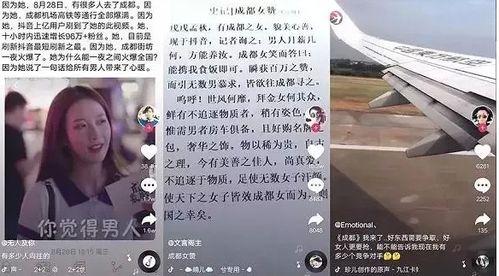 网红变现套路报告案例,案例深度解析与实战攻略