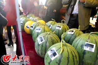 带你吃瓜奇葩摆摊视频,带你揭秘带你吃瓜的奇葩摆摊传奇