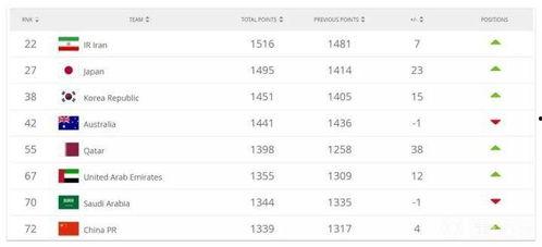 世界杯最新爆料信息查询,神秘阵容与关键对决前瞻